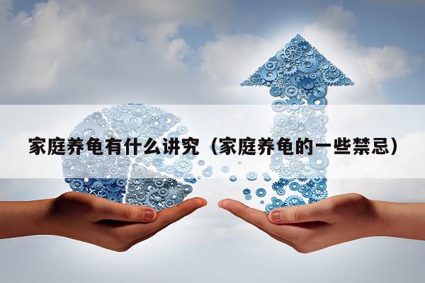 家庭养龟有什么讲究（家庭养龟的一些禁忌）