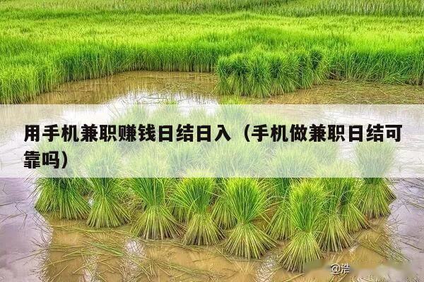 用手机兼职赚钱日结日入（手机做兼职日结可靠吗）