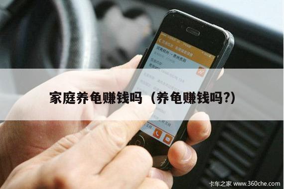 家庭养龟赚钱吗（养龟赚钱吗?）