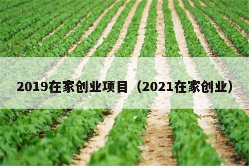 2019在家创业项目（2021在家创业）