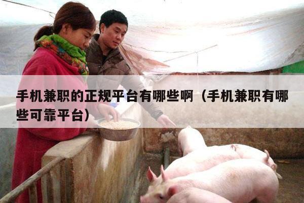 手机兼职的正规平台有哪些啊（手机兼职有哪些可靠平台）