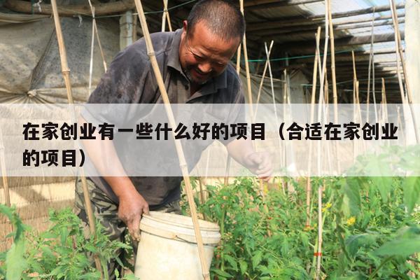 在家创业有一些什么好的项目（合适在家创业的项目）