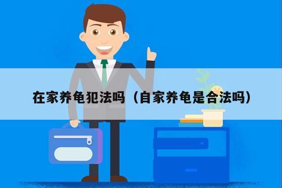 在家养龟犯法吗（自家养龟是合法吗）