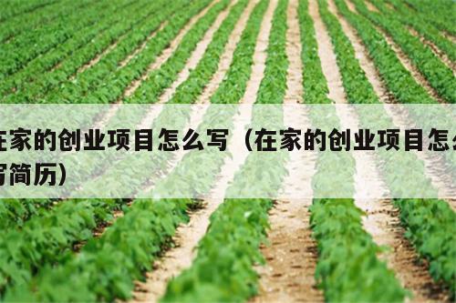 在家的创业项目怎么写（在家的创业项目怎么写简历）