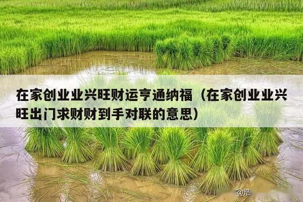 在家创业业兴旺财运亨通纳福（在家创业业兴旺出门求财财到手对联的意思）