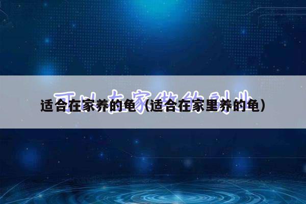 适合在家养的龟（适合在家里养的龟）