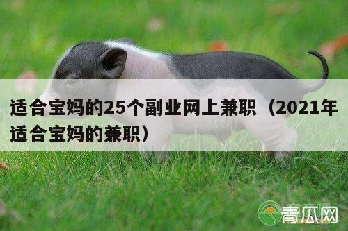 适合宝妈的25个副业网上兼职（2021年适合宝妈的兼职）