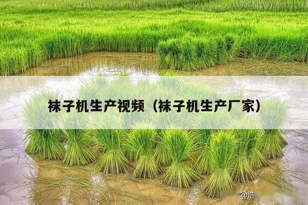 袜子机生产视频（袜子机生产厂家）