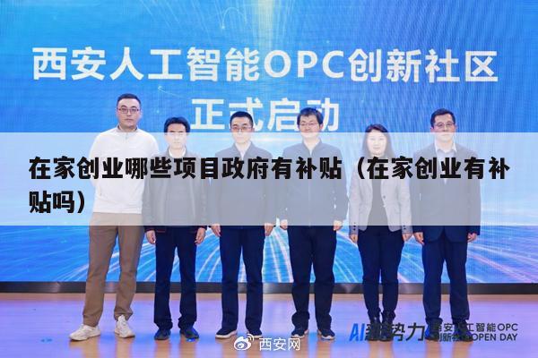 在家创业哪些项目政府有补贴（在家创业有补贴吗）