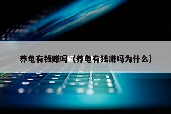 养龟有钱赚吗（养龟有钱赚吗为什么）