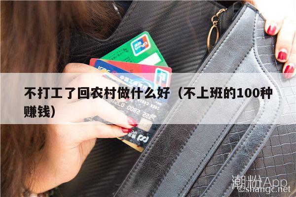 不打工了回农村做什么好（不上班的100种赚钱）
