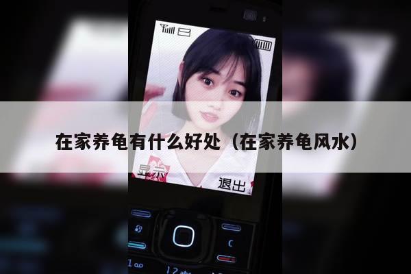 在家养龟有什么好处（在家养龟风水）