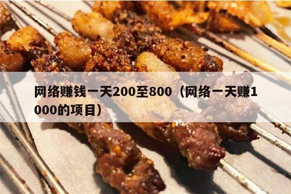 网络赚钱一天200至800（网络一天赚1000的项目）