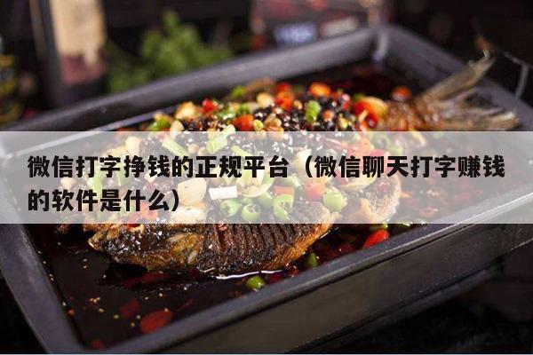 微信打字挣钱的正规平台（微信聊天打字赚钱的软件是什么）