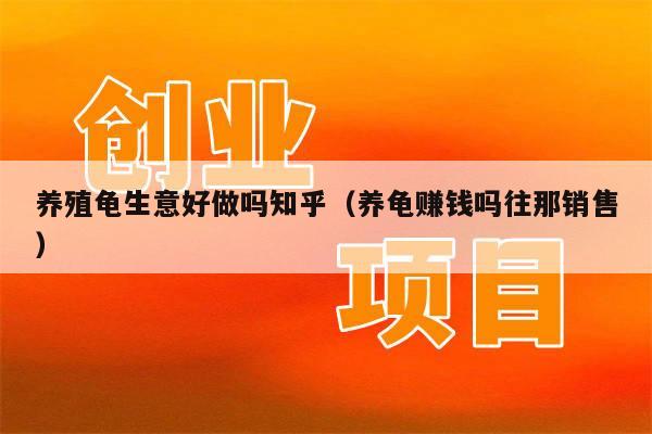 养殖龟生意好做吗知乎（养龟赚钱吗往那销售）