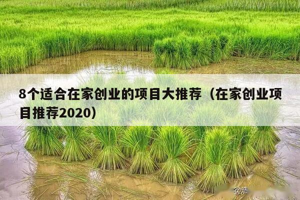 8个适合在家创业的项目大推荐（在家创业项目推荐2020）