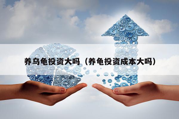 养乌龟投资大吗（养龟投资成本大吗）