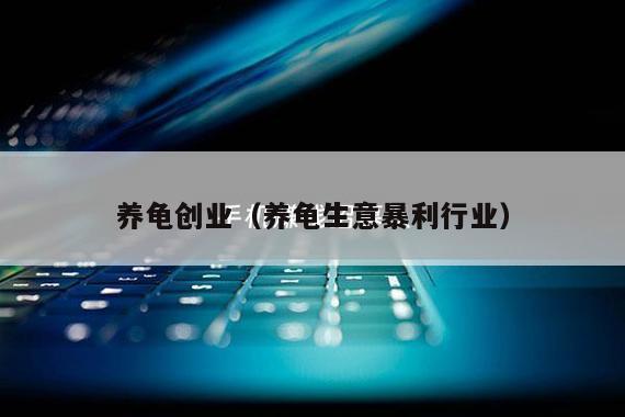 养龟创业（养龟生意暴利行业）