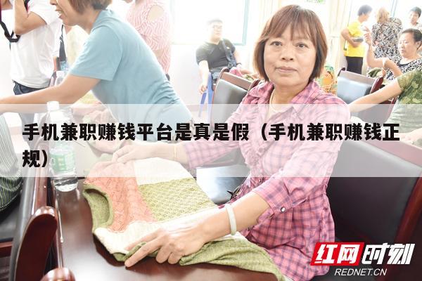 手机兼职赚钱平台是真是假（手机兼职赚钱正规）