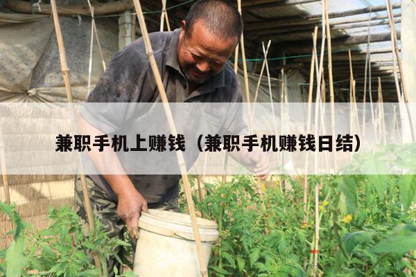 兼职手机上赚钱(兼职手机赚钱日结)