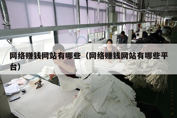 网络赚钱网站有哪些(网络赚钱网站有哪些平台)