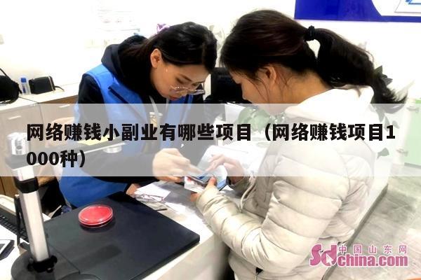 网络赚钱小副业有哪些项目（网络赚钱项目1000种）