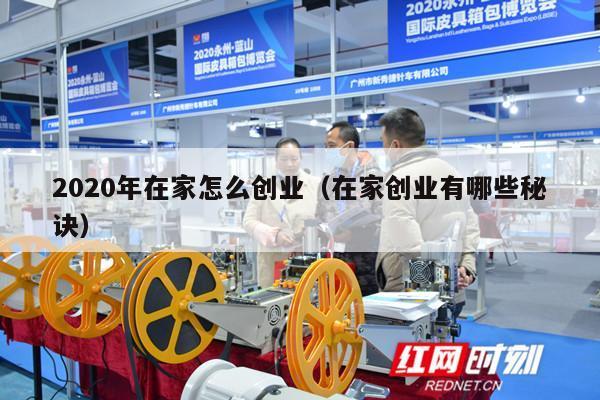 2020年在家怎么创业（在家创业有哪些秘诀）