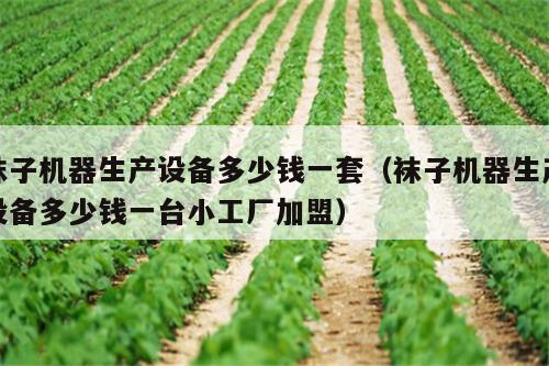 袜子机器生产设备多少钱一套(袜子机器生产设备多少钱一台小工厂加盟)