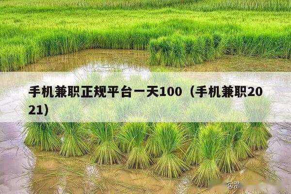 手机兼职正规平台一天100（手机兼职2021）