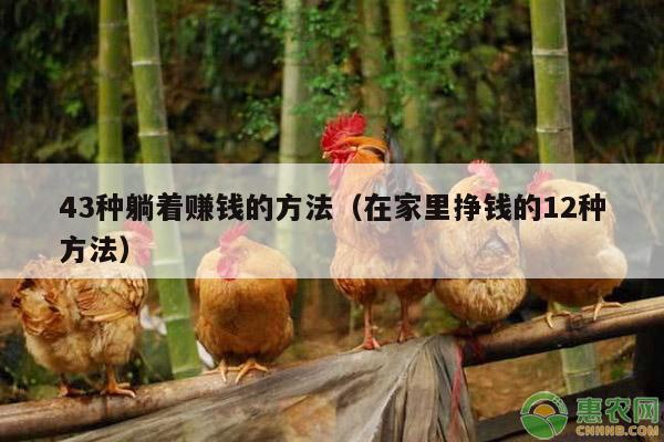 43种躺着赚钱的方法(在家里挣钱的12种方法)