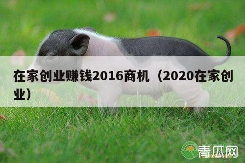 在家创业赚钱2016商机（2020在家创业）