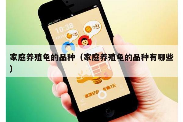 家庭养殖龟的品种（家庭养殖龟的品种有哪些）