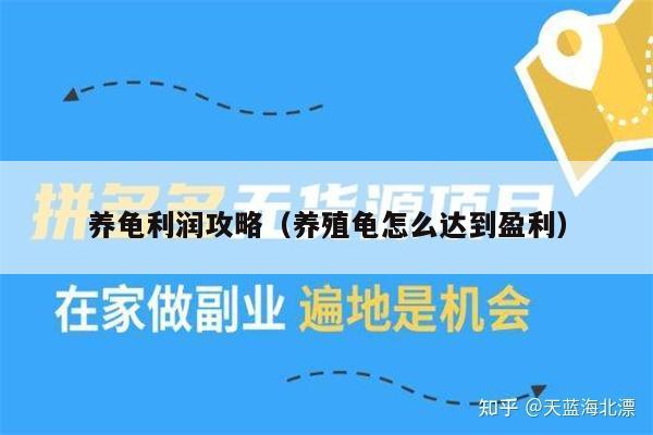 养龟利润攻略（养殖龟怎么达到盈利）