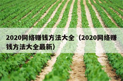 2020网络赚钱方法大全（2020网络赚钱方法大全最新）