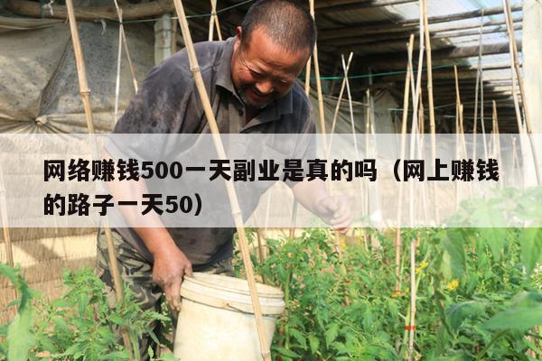网络赚钱500一天副业是真的吗（网上赚钱的路子一天50）