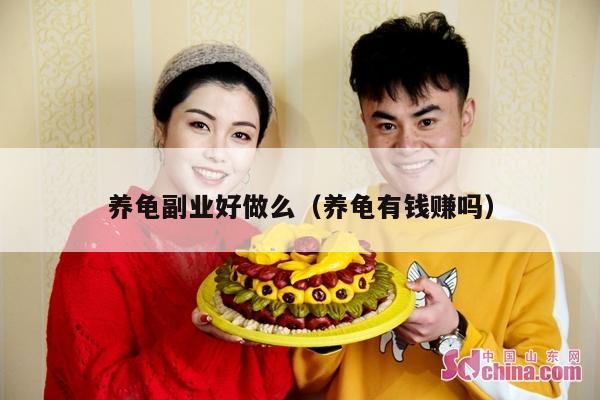 养龟副业好做么(养龟有钱赚吗)