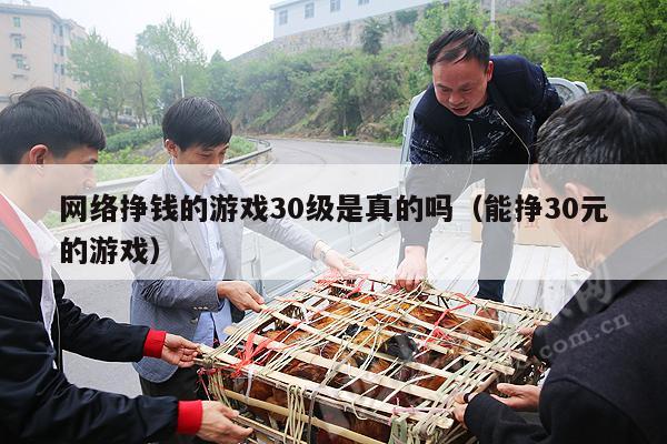 网络挣钱的游戏30级是真的吗（能挣30元的游戏）