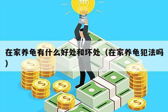 在家养龟有什么好处和坏处(在家养龟犯法吗)