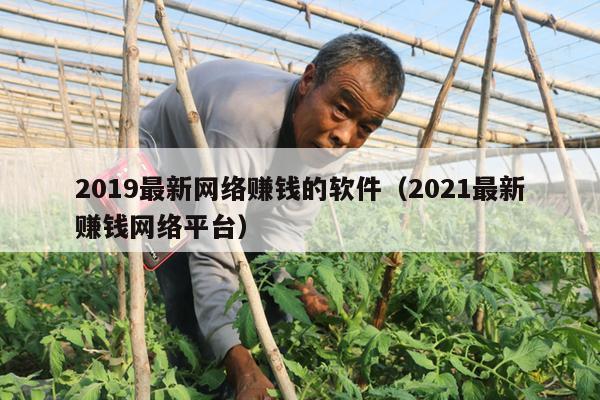 2019最新网络赚钱的软件（2021最新赚钱网络平台）