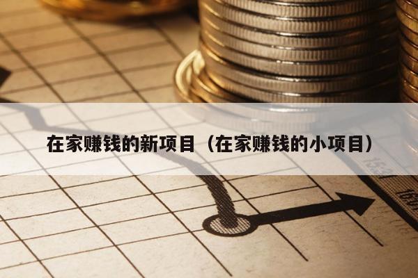 在家赚钱的新项目（在家赚钱的小项目）