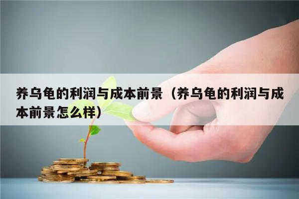 养乌龟的利润与成本前景（养乌龟的利润与成本前景怎么样）