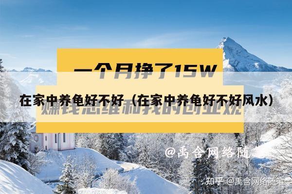 在家中养龟好不好（在家中养龟好不好风水）