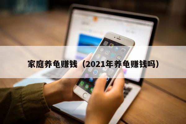 家庭养龟赚钱(2021年养龟赚钱吗)