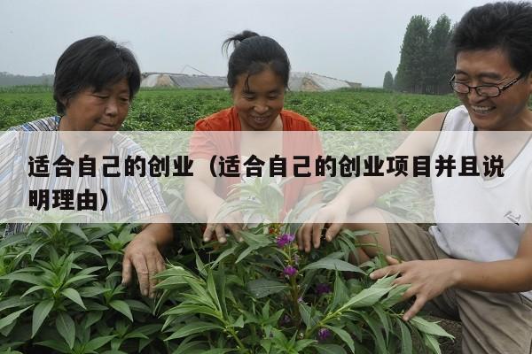 适合自己的创业(适合自己的创业项目并且说明理由)
