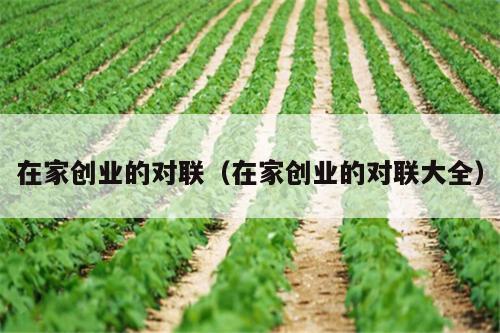 在家创业的对联（在家创业的对联大全）