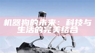 机器狗的未来：科技与生活的完美结合